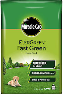 Evergreen Extreme Green Bag 400M