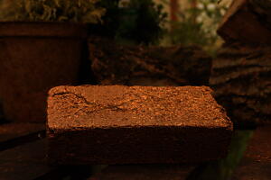 650g Coir Potting Mix Compost