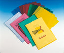 Esselte Cut Back Folder Polypropylene A4 105 Micron Clear (Pack 100) 54832 - ONE CLICK SUPPLIES