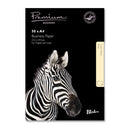 Blake Premium Business Paper A4 120gsm Cream Wove (Pack 50) - 61676 - ONE CLICK SUPPLIES