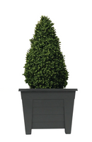 Fixtures Grosvenor Square Planter Black / Ebony 27cm