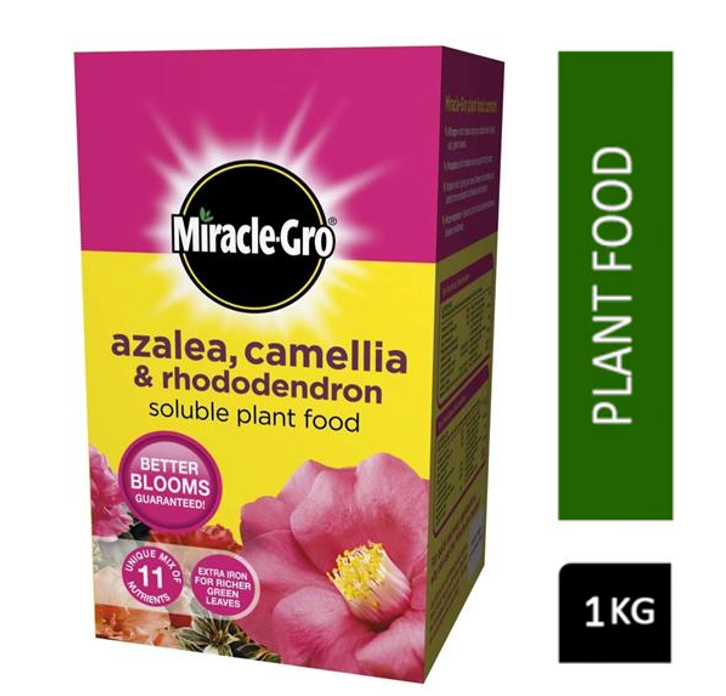 Miracle-Gro® Azalea, Camellia & Rhododendron Soluble Plant Food 1kg - ONE CLICK SUPPLIES