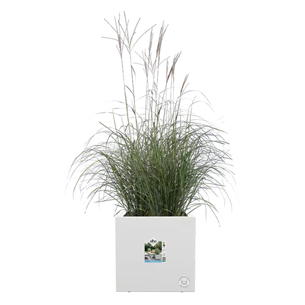 Elho Vivo Next White Square Planter 30cm - ONE CLICK SUPPLIES