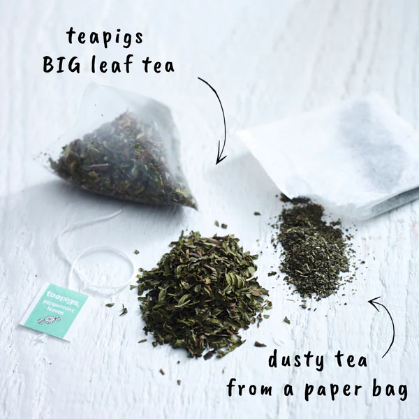 Teapigs Peppermint Leaves Loose Tea Made With Whole Leaves (1 x 100g)