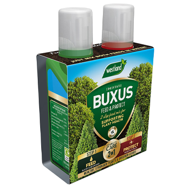 Westland Buxus Feed & Protect Concentrates 2 in 1 (2 x 500 ml) - ONE CLICK SUPPLIES