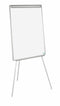 Bi-Office Earth Flipchart Easel 700x1000mm Grey - EA2376995 - ONE CLICK SUPPLIES