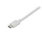 StarTech.com 6ft USB C to DisplayPort Cable 4K - ONE CLICK SUPPLIES