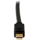 StarTech.com 6 ft Mini DisplayPort to DVI Adapter - ONE CLICK SUPPLIES