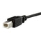 StarTech.com 1 ft Panel Mount USB B to B Cable - ONE CLICK SUPPLIES