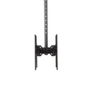 StarTech.com 32in to 75in Dual B2B Ceiling TV Mount - ONE CLICK SUPPLIES