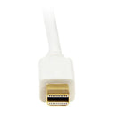 StarTech.com 10 ft Mini DP to DVI Adapter Cable White - ONE CLICK SUPPLIES