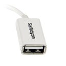 StarTech.com 5in Micro USB to USB OTG Host Adapter MF - ONE CLICK SUPPLIES