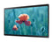 Samsung QB24R-B 23.8 Inch 1920 x 1080 Pixels Full HD Resolution HDMI USB Large Format Display - ONE CLICK SUPPLIES